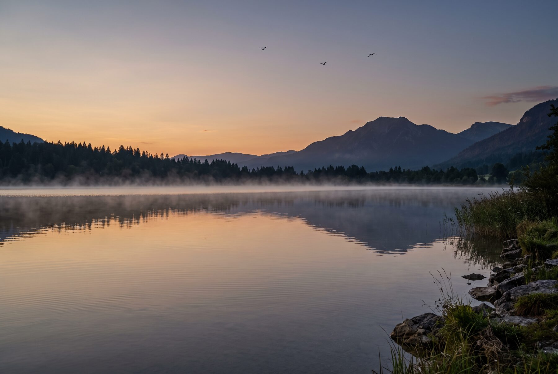 Stiller Bergsee mit Morgennebel in der Dämmerung